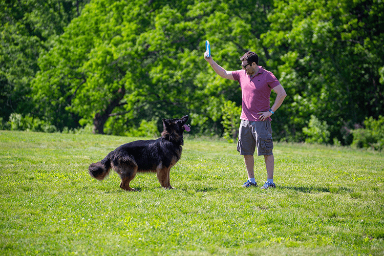 Noah Davidsohn plays outdoors with his German shepherd dog.